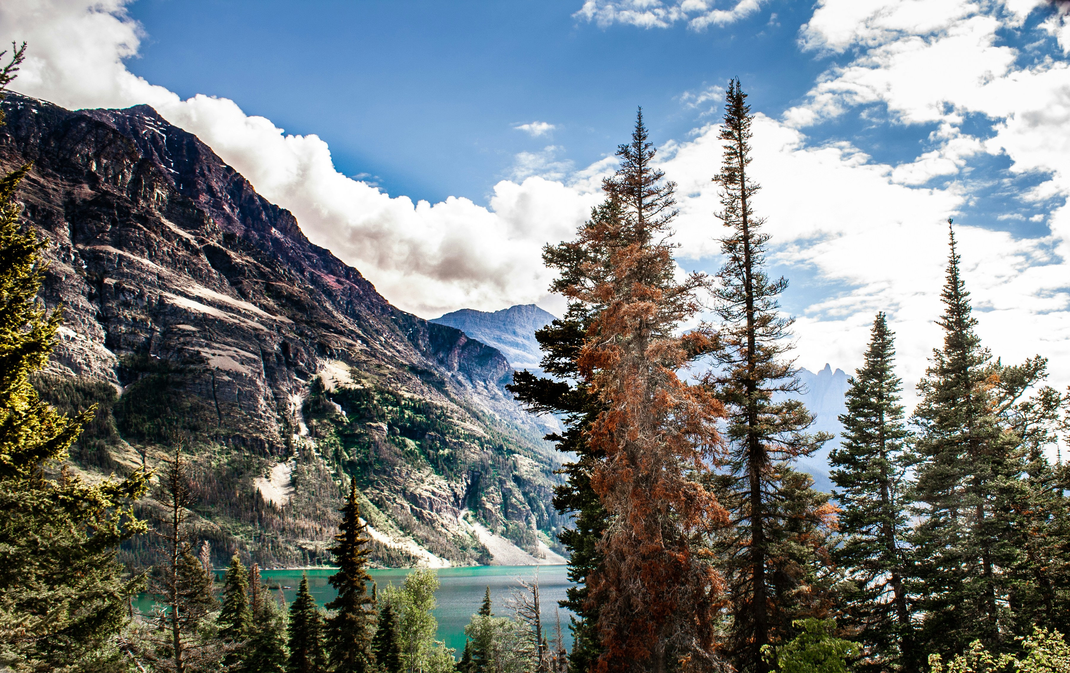 Scenic national park landscape