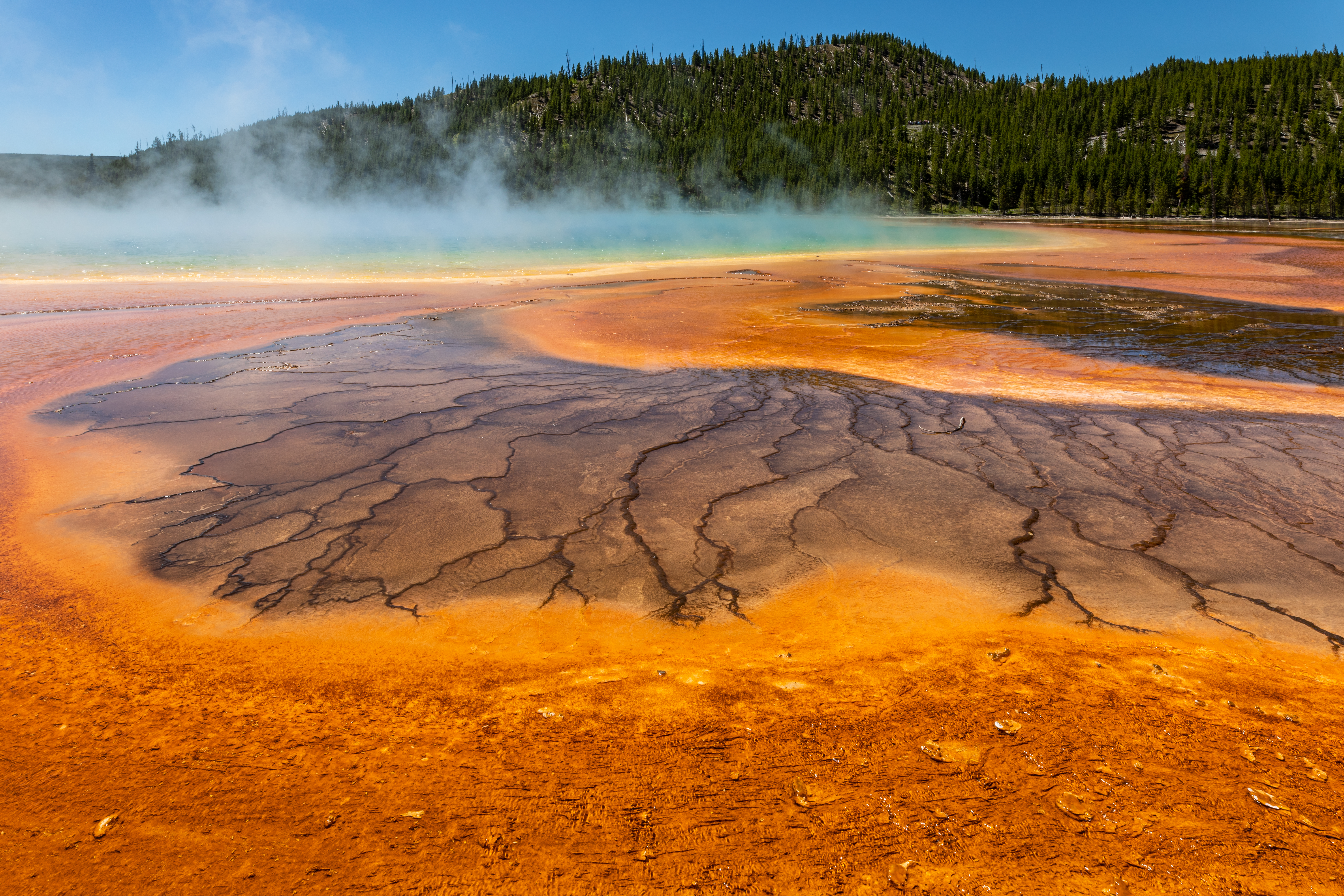 Grand Prismatic Spring in Yellowstone