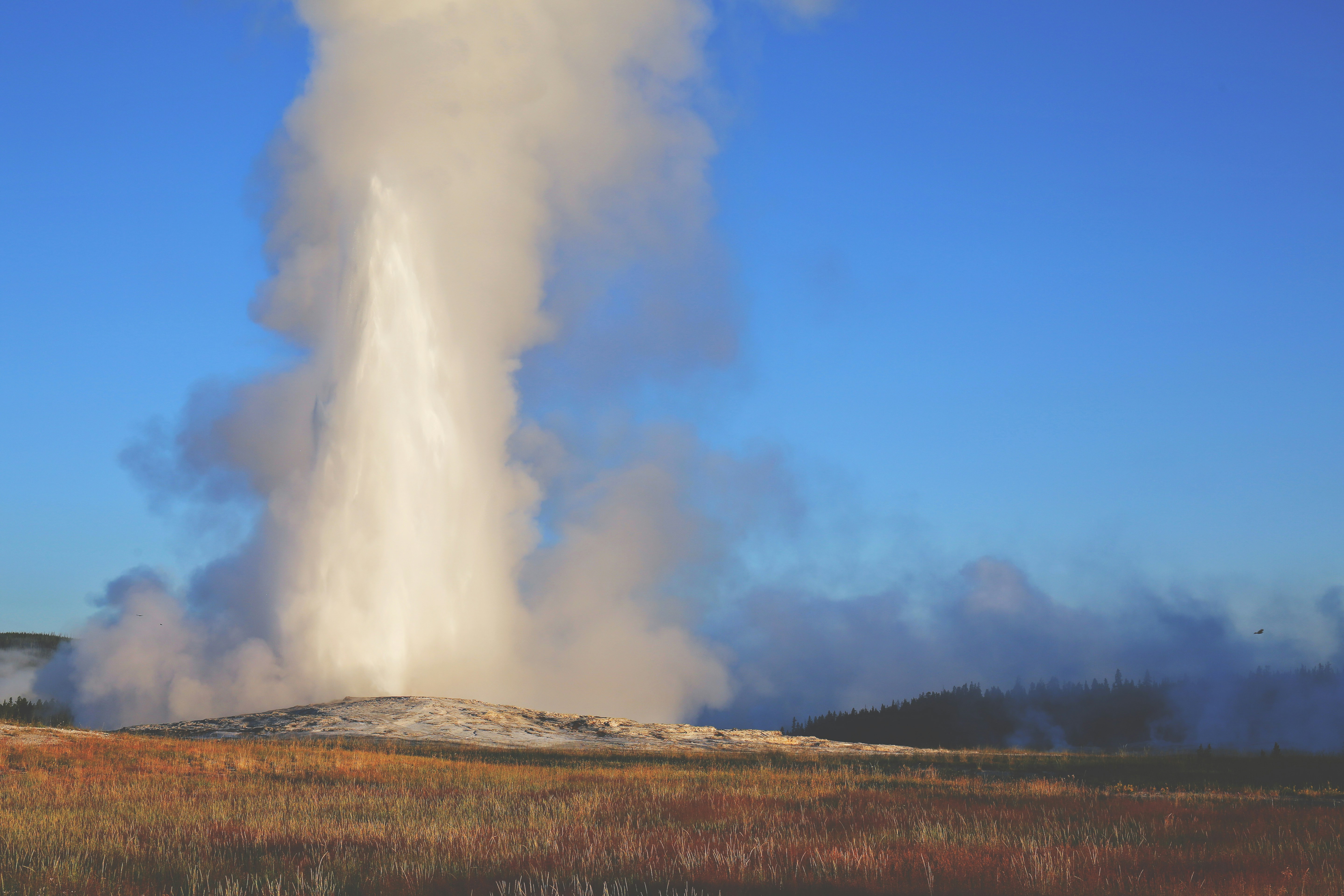 Old Faithful Geyser Erupting