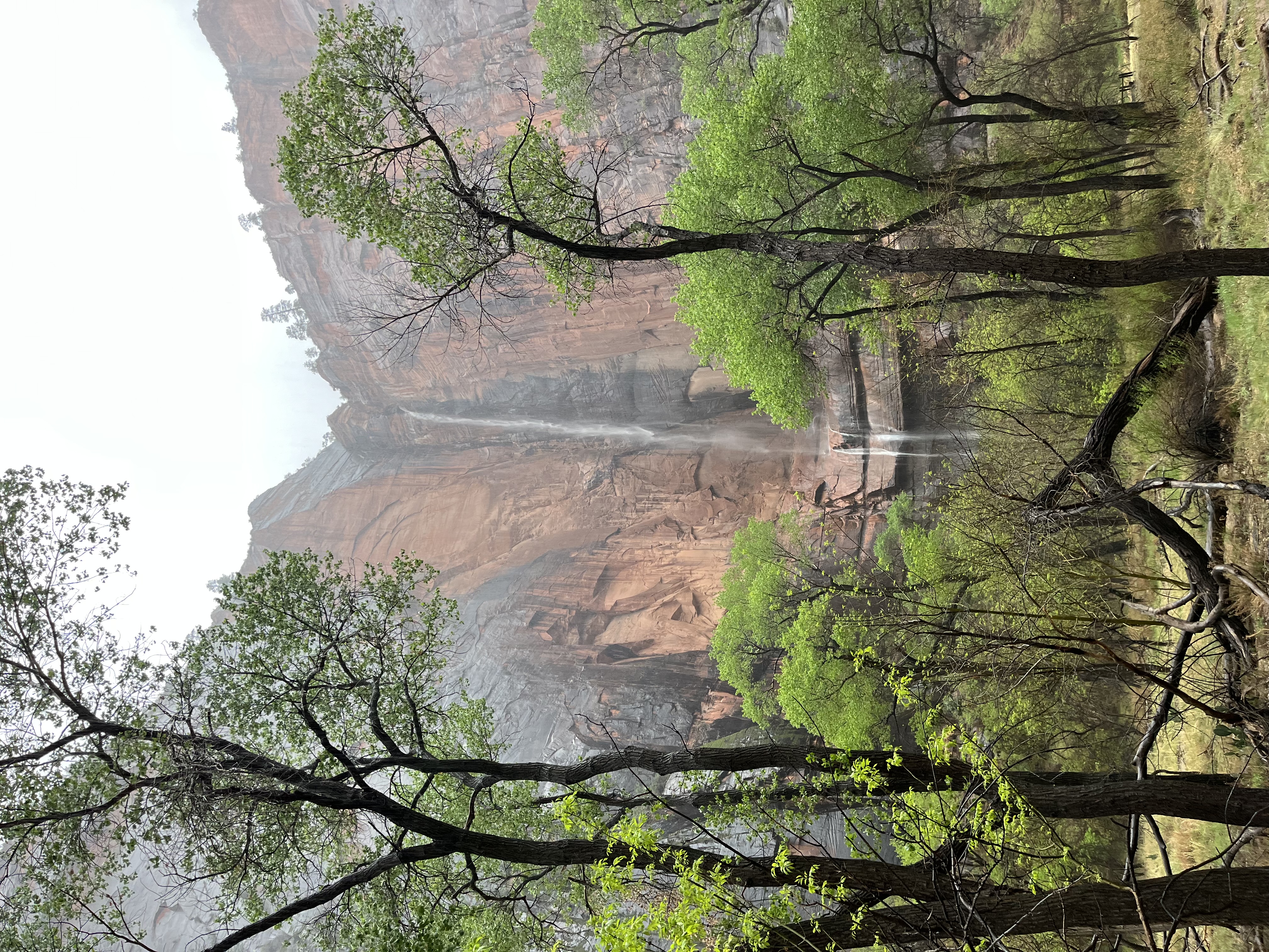 Waterfalls flowing down the red rock canyon walls at Zion National Park during a rainstorm
