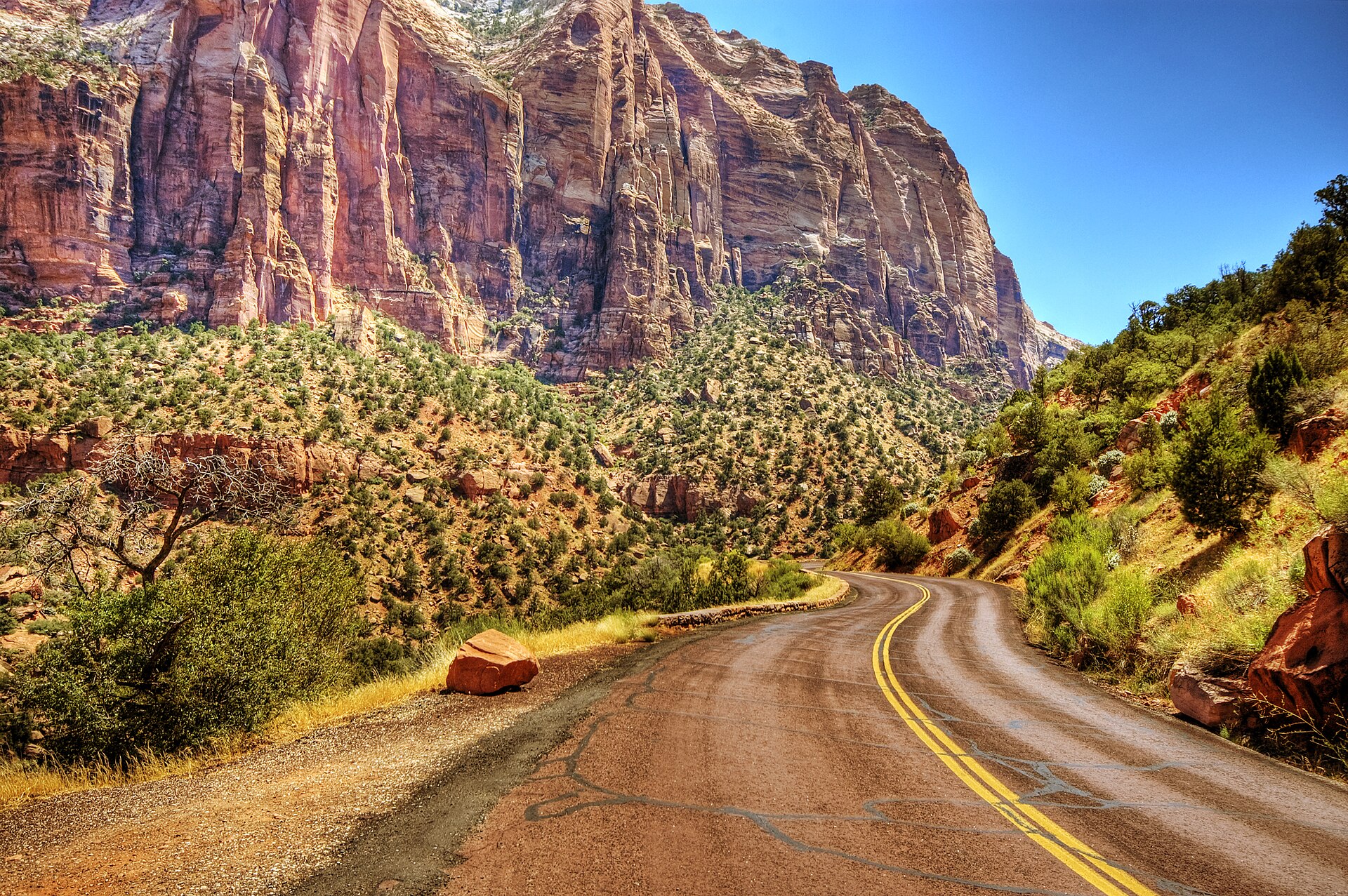 Scenic road through Zion National Park